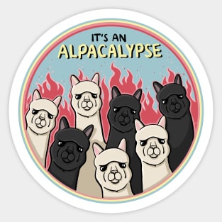 It's an ALPACALYPSE Funny Alpaca Cartoon Pun Digital Illustration Sticker